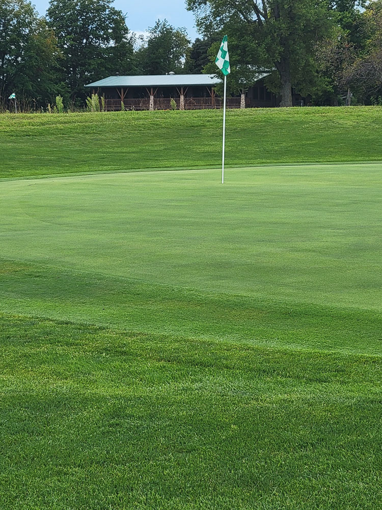 Golfer on the course